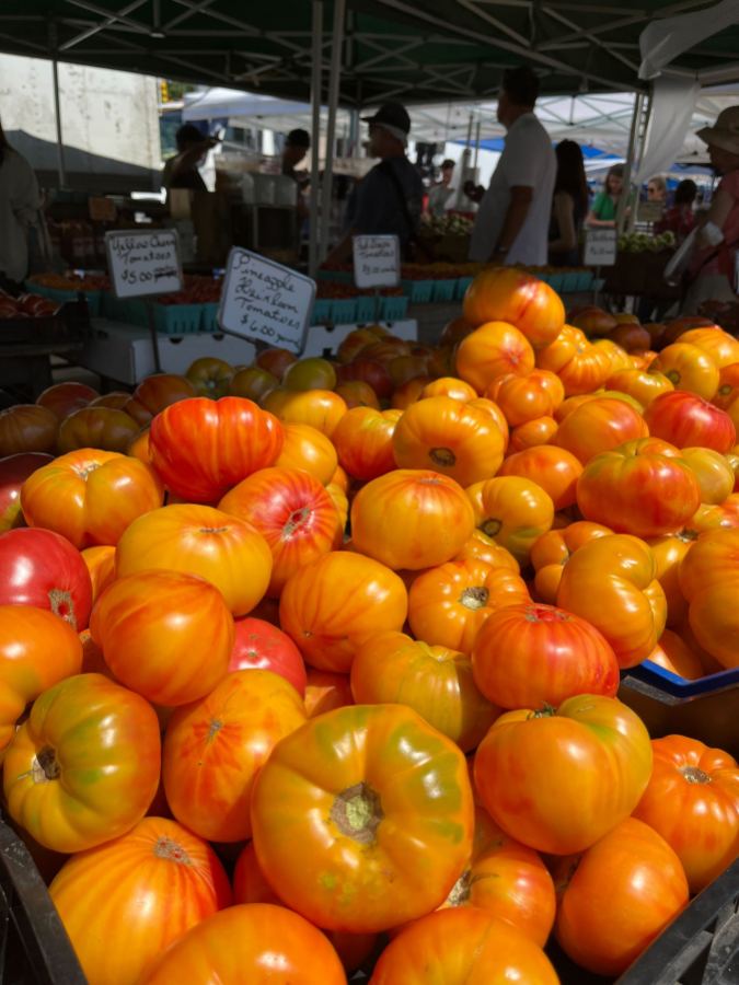 an array of orange and red large tomatoes at an outdoor market