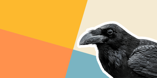 A crow against an orange and blue background