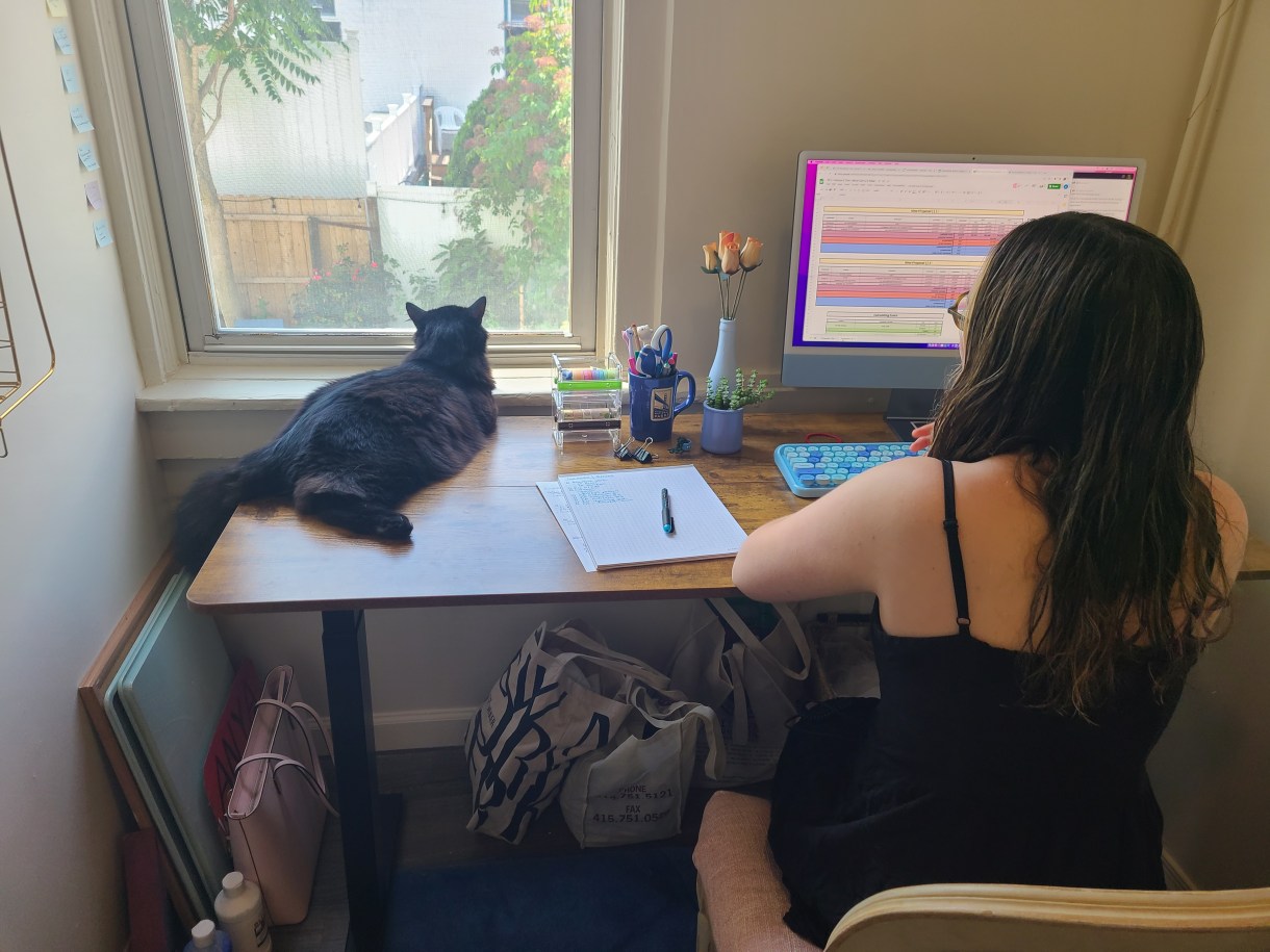 Anya is partially seen from behind working at her computer. She is a white woman wearing a black outfit. Her cat tubbs looks out the window while sitting on her desk.
