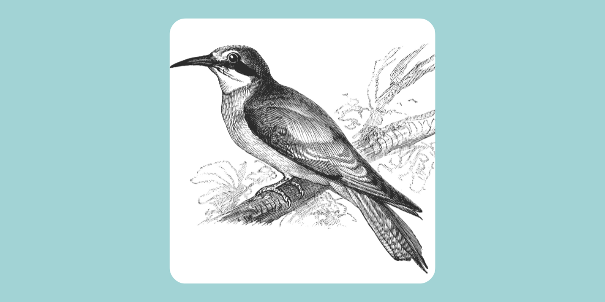 A vintage illustration of a bird on a branch against a blue background