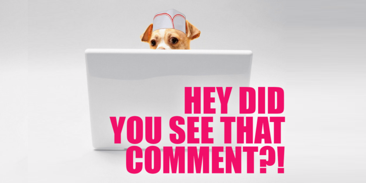 a small brown and white dog perched in front of a laptop with the words "hey did you see that comment?!" in bright pink. this week, the dog is wearing a diner hat.