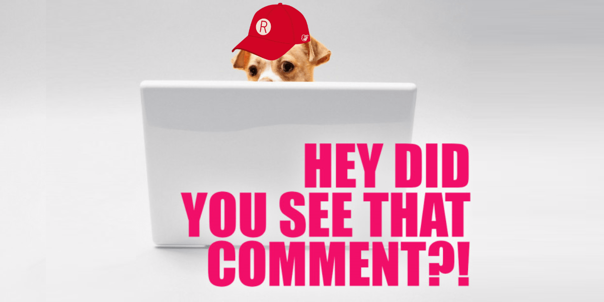 the comment awards dog peeking over their laptop, wearing a red Rockford Peaches cap