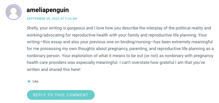 Shelly, your writing is gorgeous and I love how you describe the interplay of the political reality and working/advocating for reproductive health with your family and reproductive life planning. Your writing—this essay and also your previous one on binding/nursing—has been extremely meaningful for me processing my own thoughts about pregnancy, parenting, and reproductive life planning as a nonbinary person. Your exploration of what it means to be out (or not) as nonbinary with pregnancy health care providers was especially meaningful. I can’t overstate how grateful I am that you’ve written and shared this here!