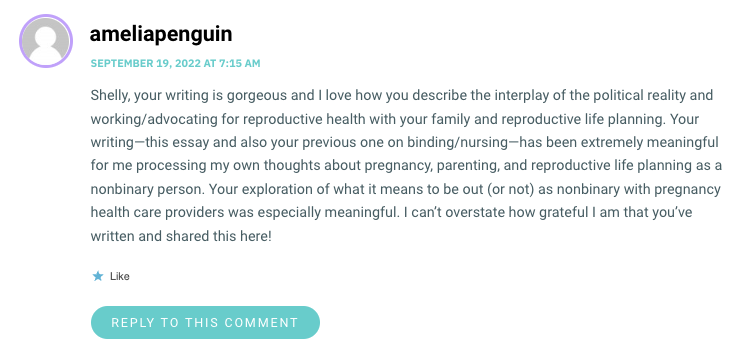 Shelly, your writing is gorgeous and I love how you describe the interplay of the political reality and working/advocating for reproductive health with your family and reproductive life planning. Your writing—this essay and also your previous one on binding/nursing—has been extremely meaningful for me processing my own thoughts about pregnancy, parenting, and reproductive life planning as a nonbinary person. Your exploration of what it means to be out (or not) as nonbinary with pregnancy health care providers was especially meaningful. I can’t overstate how grateful I am that you’ve written and shared this here!
