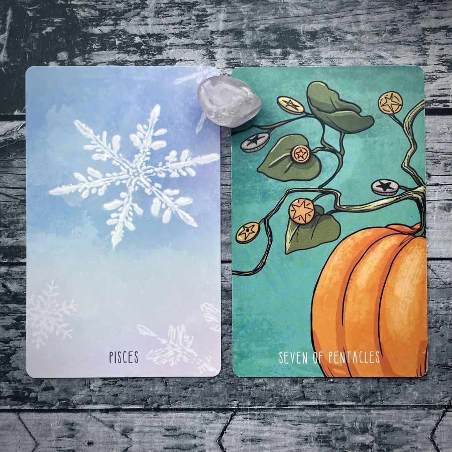 Two cards on a grey wood table:   on the left — a close up of a snowflake, it says Pisces at the bottom  on the right — a pumpkin on the vine with various pentacles hanging off, it says Seven of Pentacles on the bottom