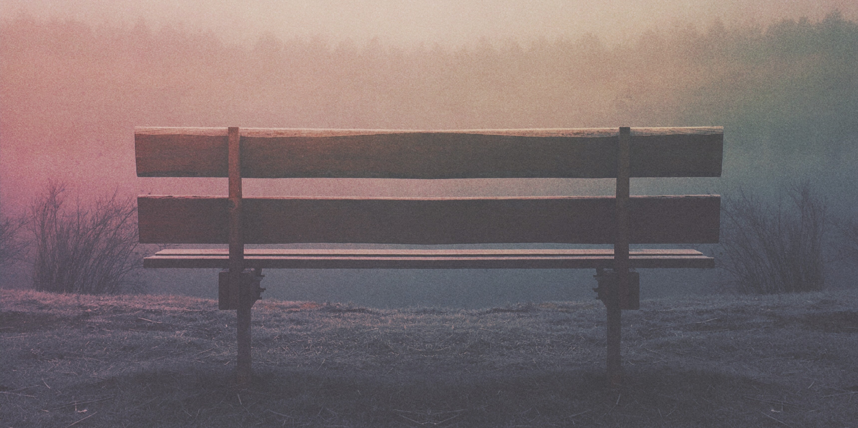 empty bench overlooking sky and forest with rainbow filter overtop