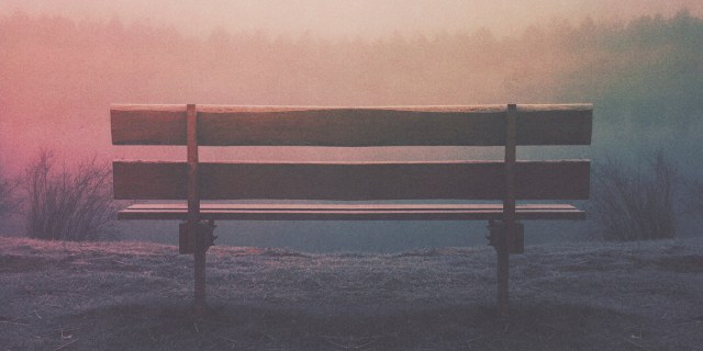 empty bench overlooking sky and forest with rainbow filter overtop