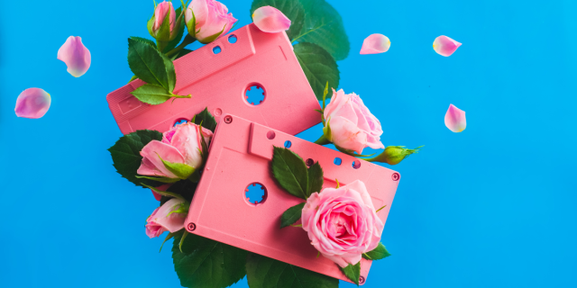 Two pink cassette tapes and pink rose petals against a blue background.