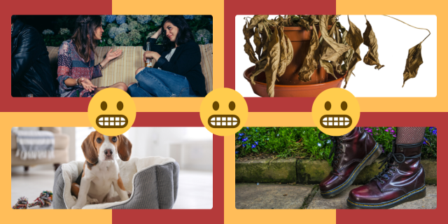 Photo 1: Two women arguing on a couch. Photo 2: A dead plant. Photo 3: A beagle puppy. Photo 4: A pair of purple Doc Martens.