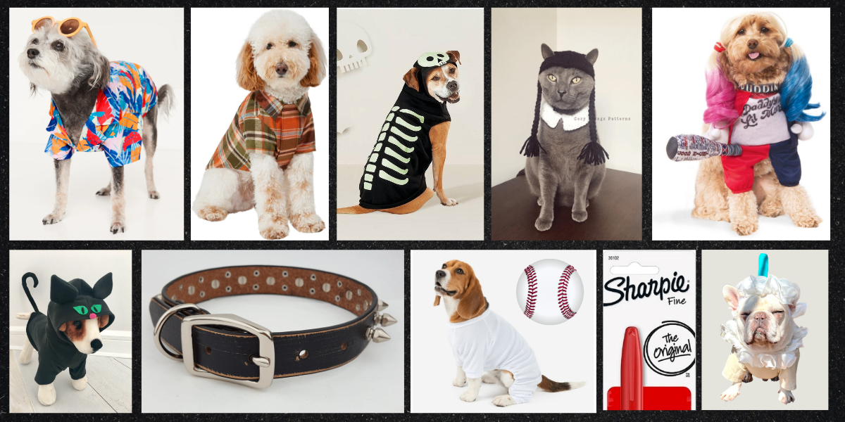 A collage of dog costumes