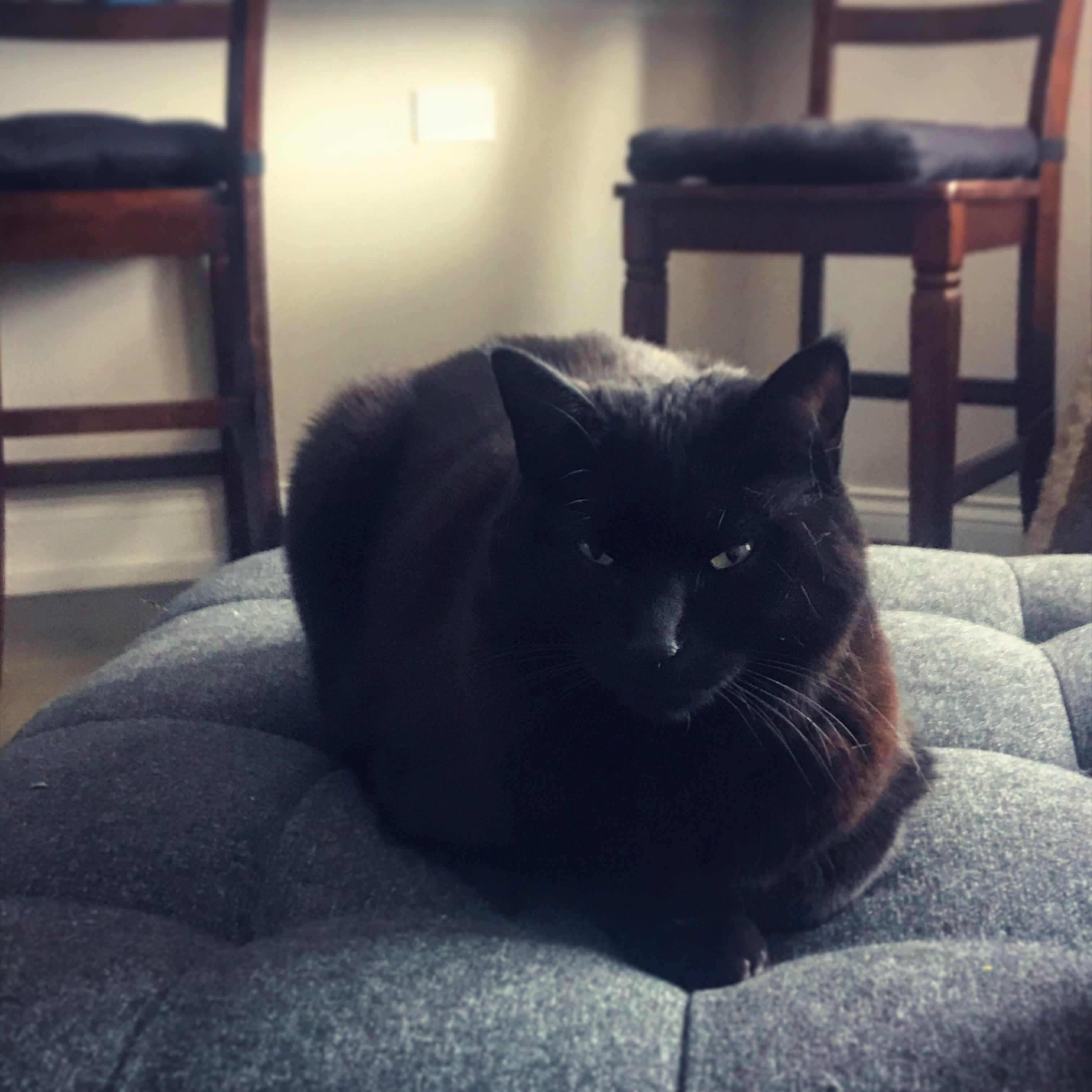 Profile picture of jmbg