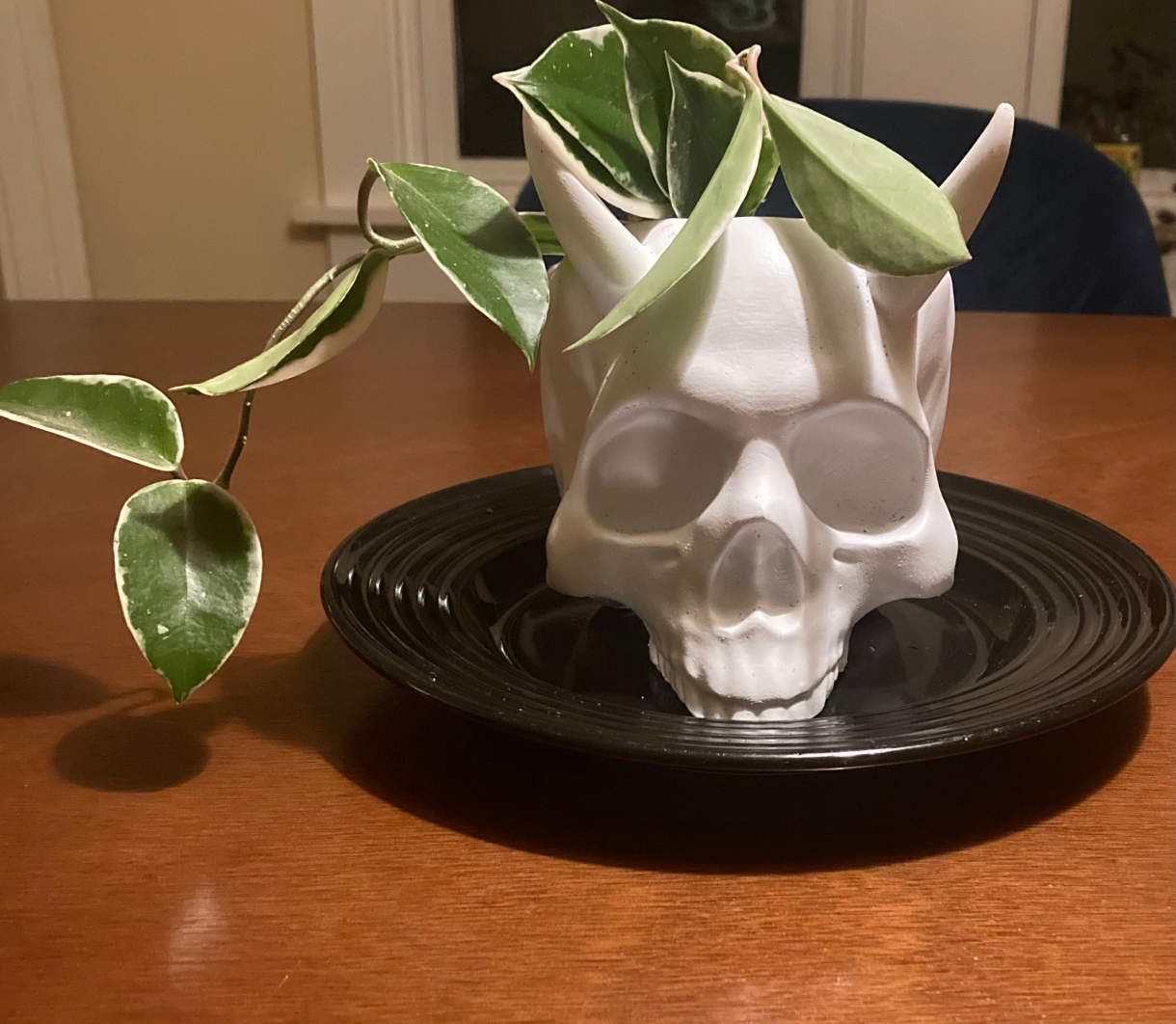 a skull shaped planter with some leafy plant growing in it