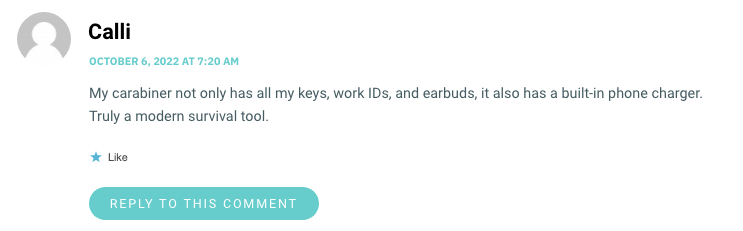 My carabiner not only has all my keys, work IDs, and earbuds, it also has a built-in phone charger. Truly a modern survival tool.