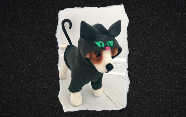 A stuffed dog modeling a felted black cat costume with a curly tail and green eyes