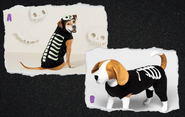 Two dogs wearing skeleton costumes. The first is a hoodie whose skeleton glows in the dark.