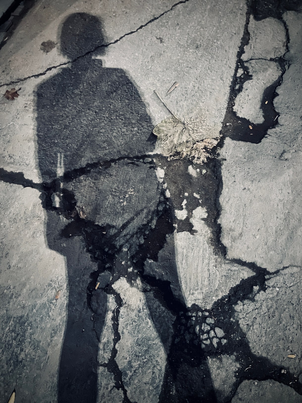 Meg casts a shadow upon the asphalt in her shape