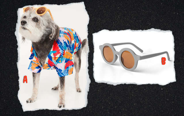 Collage. First image: A grey-haired dog wearing a tropical shirt. Second image: Grey toddler sunglasses