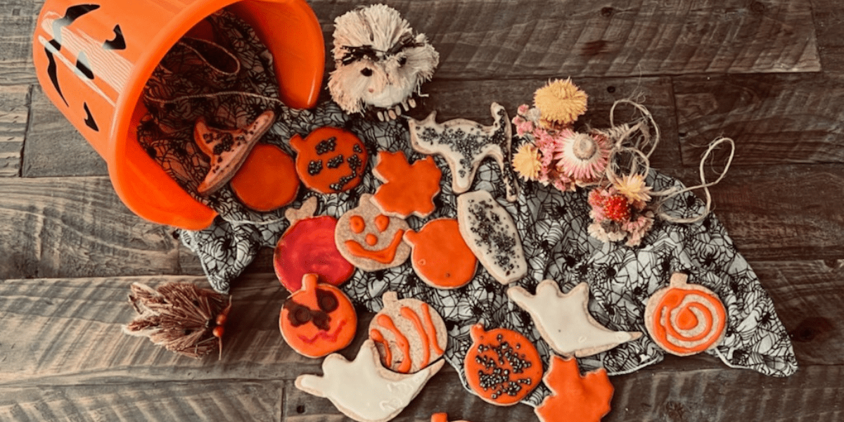 A bunch of Halloween shaped sugar cookies