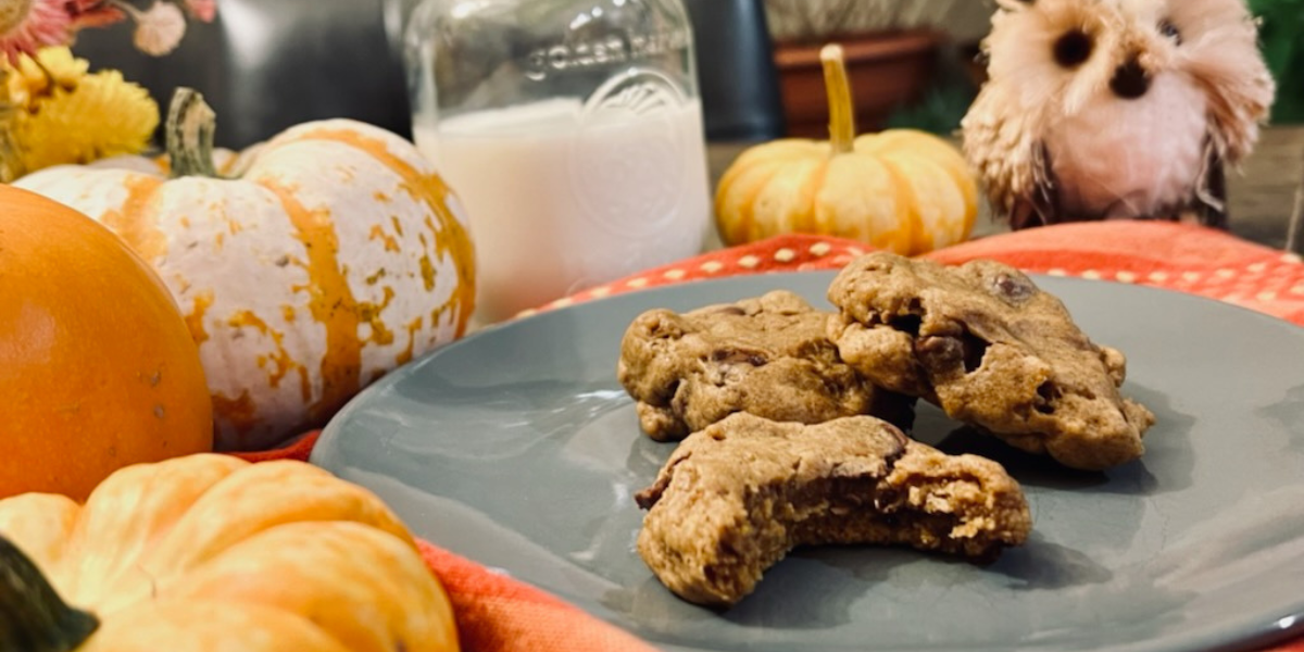 Pumpkin chocolate chip cookies