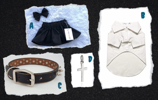 A collage. A: A black toddler skirt. B: A white button-up for dogs. C: A spiked collar for dogs. D: A cross charm