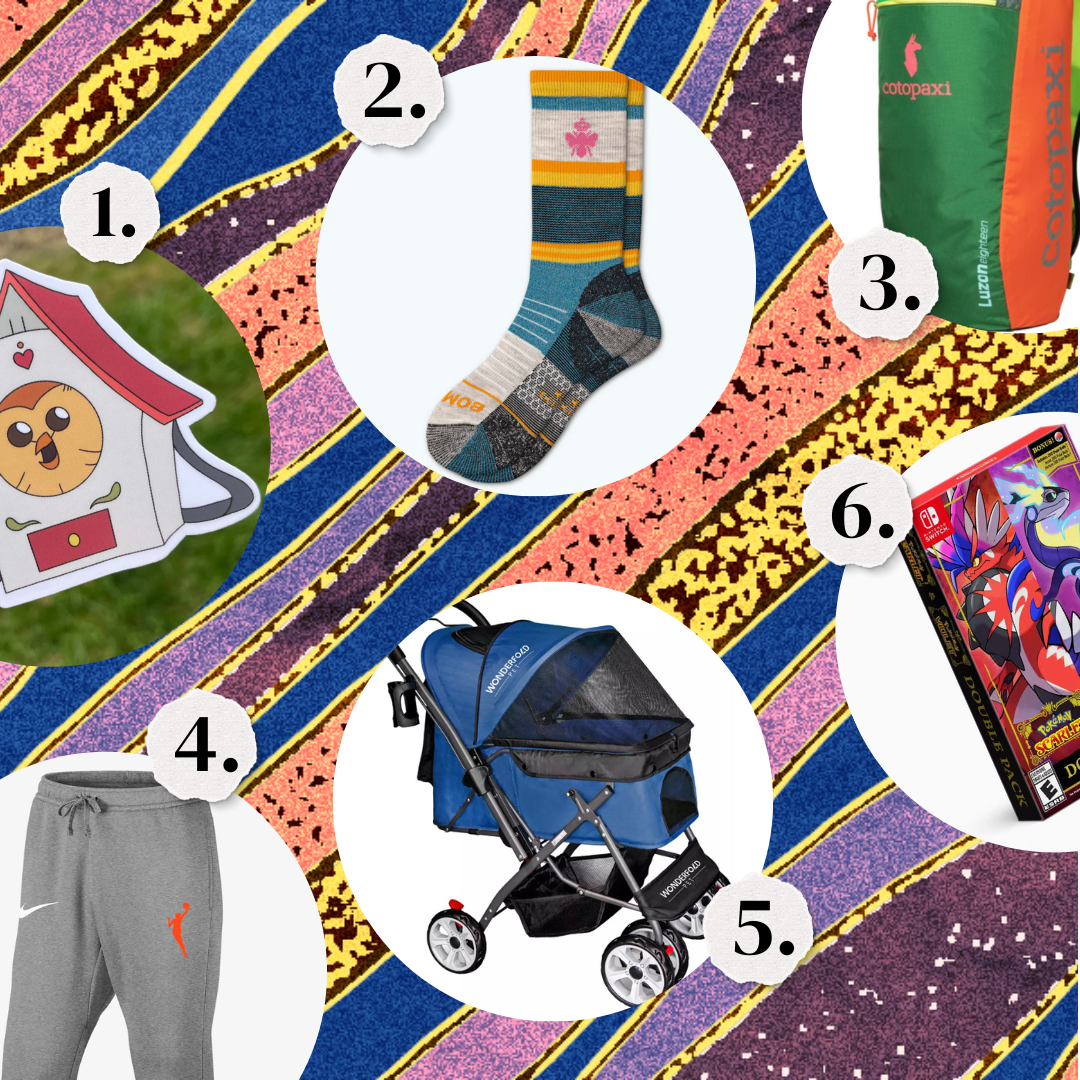 1. The Owl House sticker. 2. A pair of striped socks. 3. A backpack in green and orange. 4. A pair of WNBA gray joggers. 5. A stroller for a cat. 6. A Pokemon Scarlet