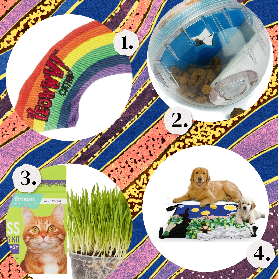 1. A rainbow catnip toy. 2. A treat ball. 3. Cat grass. 4. A play mat for dogs.