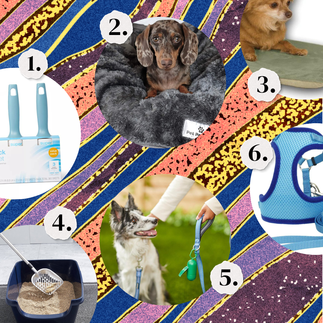 1. Lint rollers. 2. A dog bed in gray. 3. A dog bed in green. 4. A cat litter scoop and box. 5. A training leash. 6. A blue small dog harness.