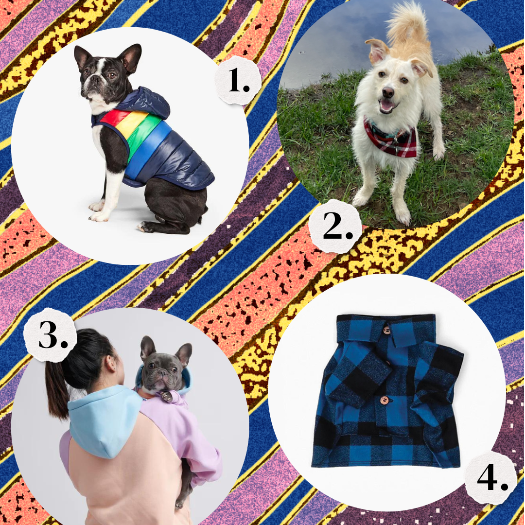 1. A dog wearing a rainbow puffer vest. 2. A dog wearing a bandana. 3. A woman and a Frenchie in matching hoodies. 4. A plaid jacket for a dog.