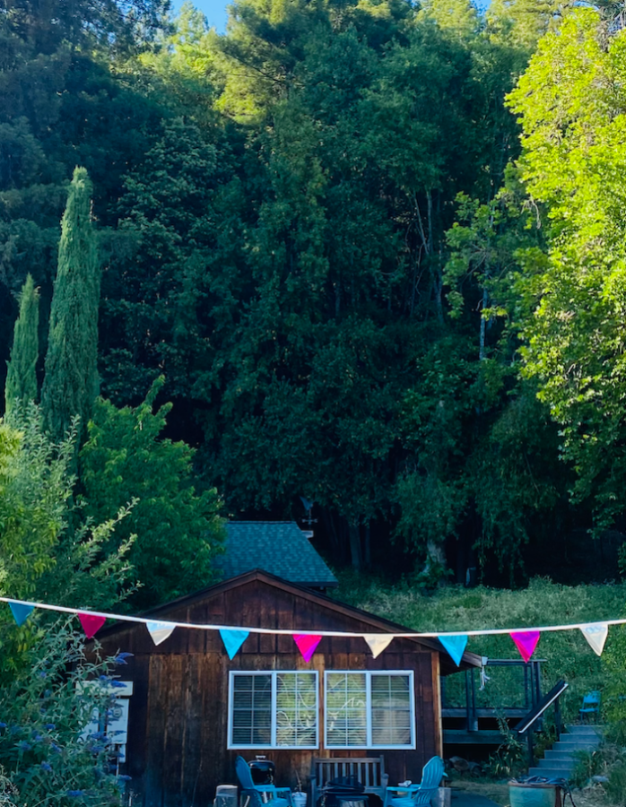 Mugworts Cabin: a cute cabin with a rainbow triangle flag banner in front sits in the woods, surrounded by tall lush green trees