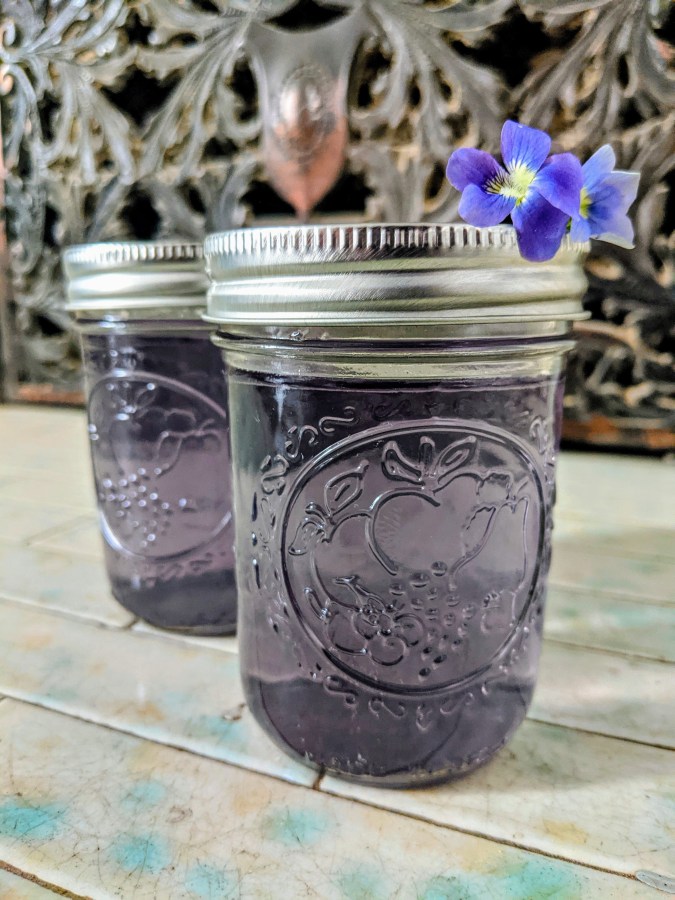 two mason jars of violet simple syrup, displaying gray purple violet color with a wild violet on top
