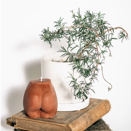 A candle and a plant that looks like rosemary in a white pot sit on top of a vintage hardcover book against a white background. The light brown candle is shaped like a butt. 