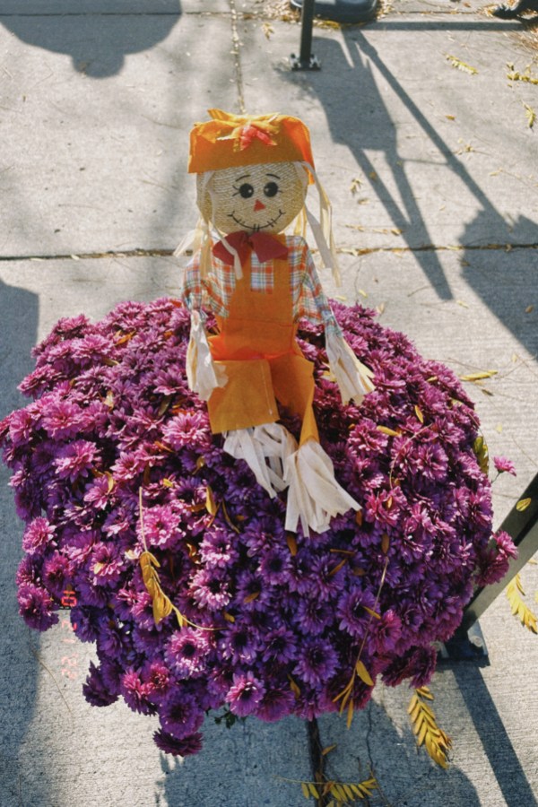 A toy scarecrow resting on top of purple flowers
