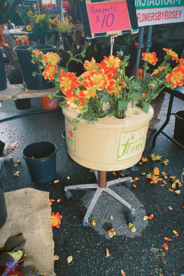 A flower display on a rainy day at the farmer's market, a pink sign reads "bouquets, $10"