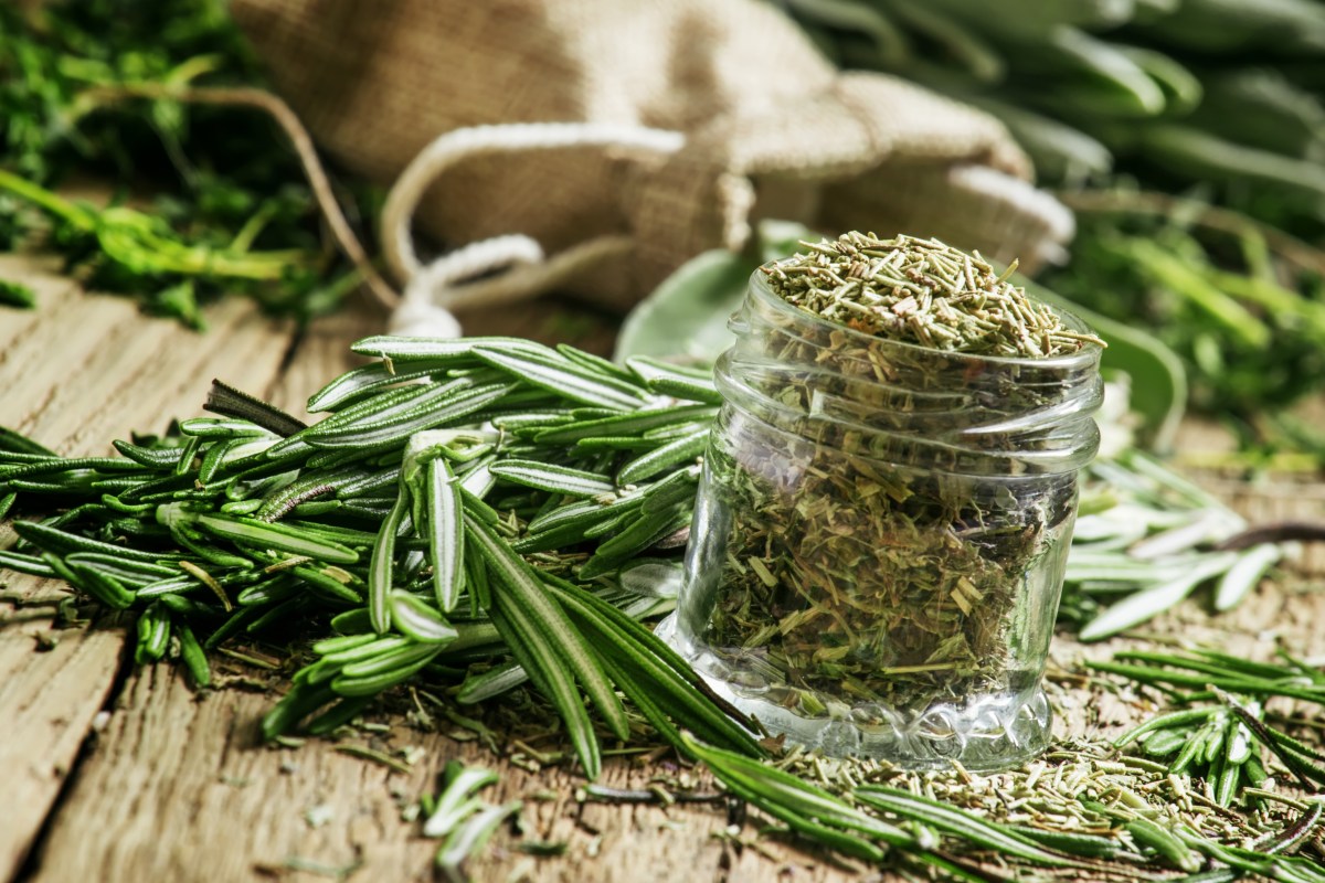 a bunch of rosemary on a cutting board next to rosemary in a mason jar. rosemary simple syrup is a natural fit for the holidays