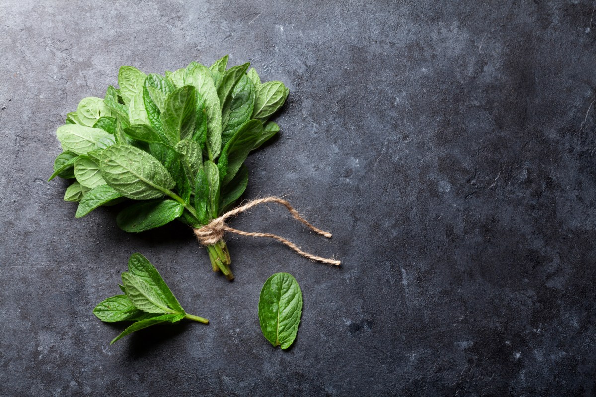 mint leaves, in a bunch, tied with twine, on a stone block