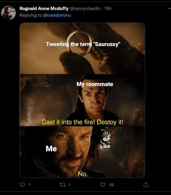 a three panel meme with first: Isildor holding the one ring and over that the text "tweeting the term "Saurussy"" and then below that, Elrond labeled as "my roommate" says "Cast it into the fire! Destroy it!" and below that, Isildor labeled as "me" says "No."