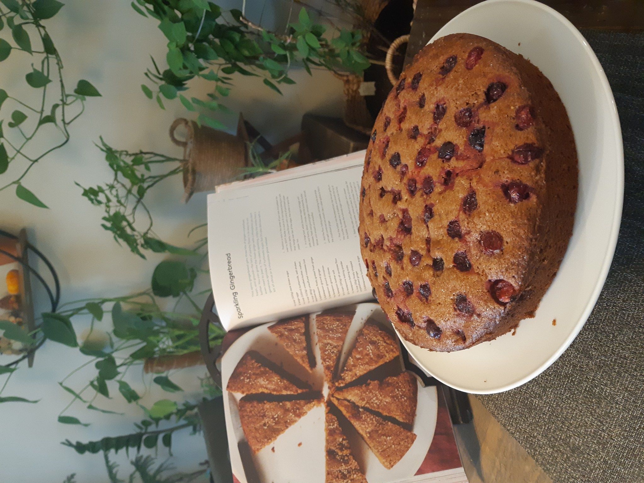 A Quest for the Perfect Gingerbread Bake for the Holigay Season