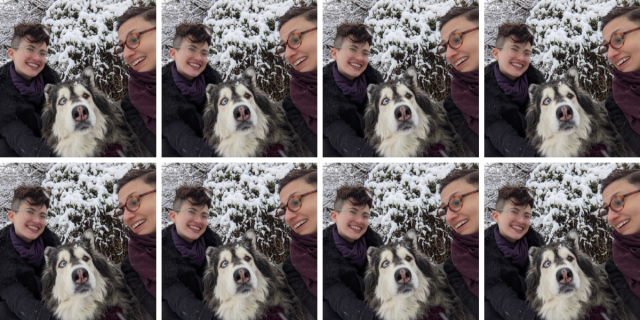 a collage of the same photo repeated eight times. in the photo, sadie, nico and mya the dog pose in the snow. nico is a white genderqueer human with short dark hair that is shaved on the sides and glasses. they are wearing a black coat. sadie is a white butch woman with short hair and glasses who is also wearing a black coat and a burgundy scarf. mya is a fluffy white, gray and brown malamute mix with two different colored eyes