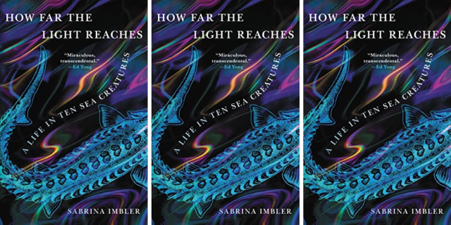 How Far the Light Reaches: A Life in Ten Sea Creatures by Sabrina Imbler