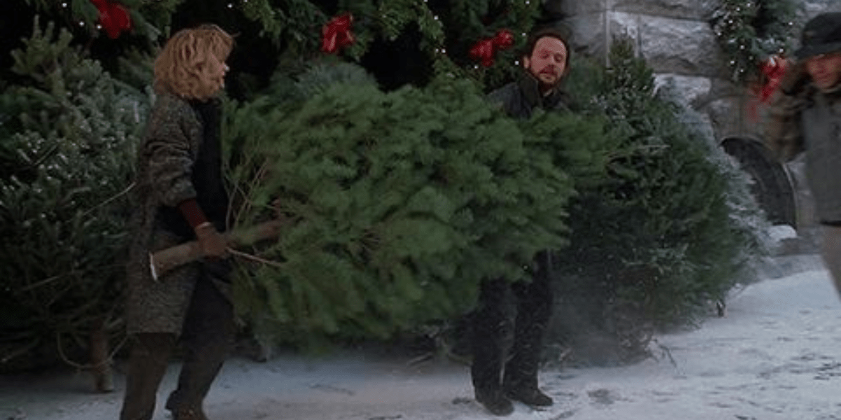 Meg Ryan and Billy Crystal carrying a Christmas tree in When Harry Met Sally