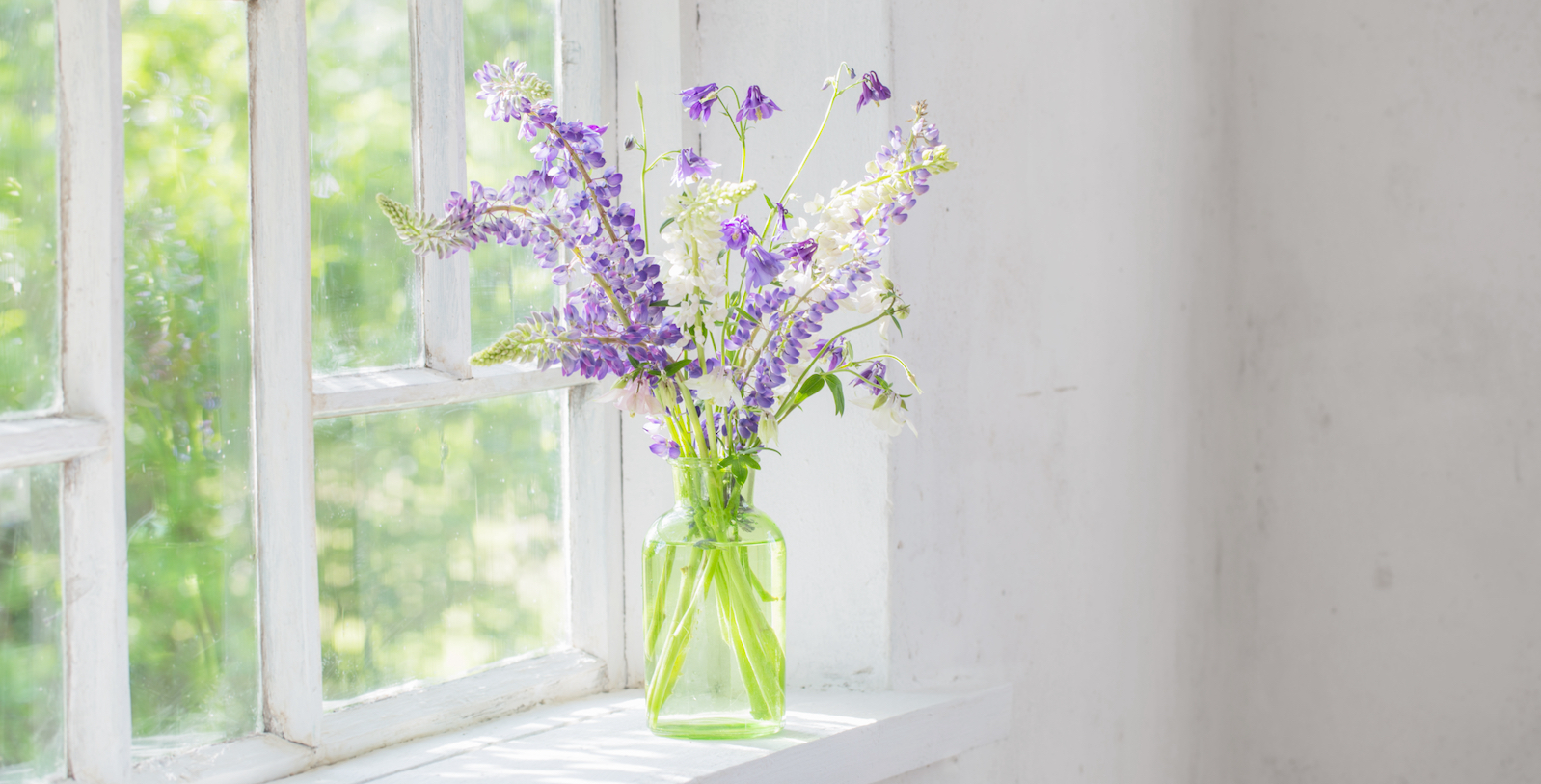 clear vase of purple flowers sits on a bright white window with lots of light coming in