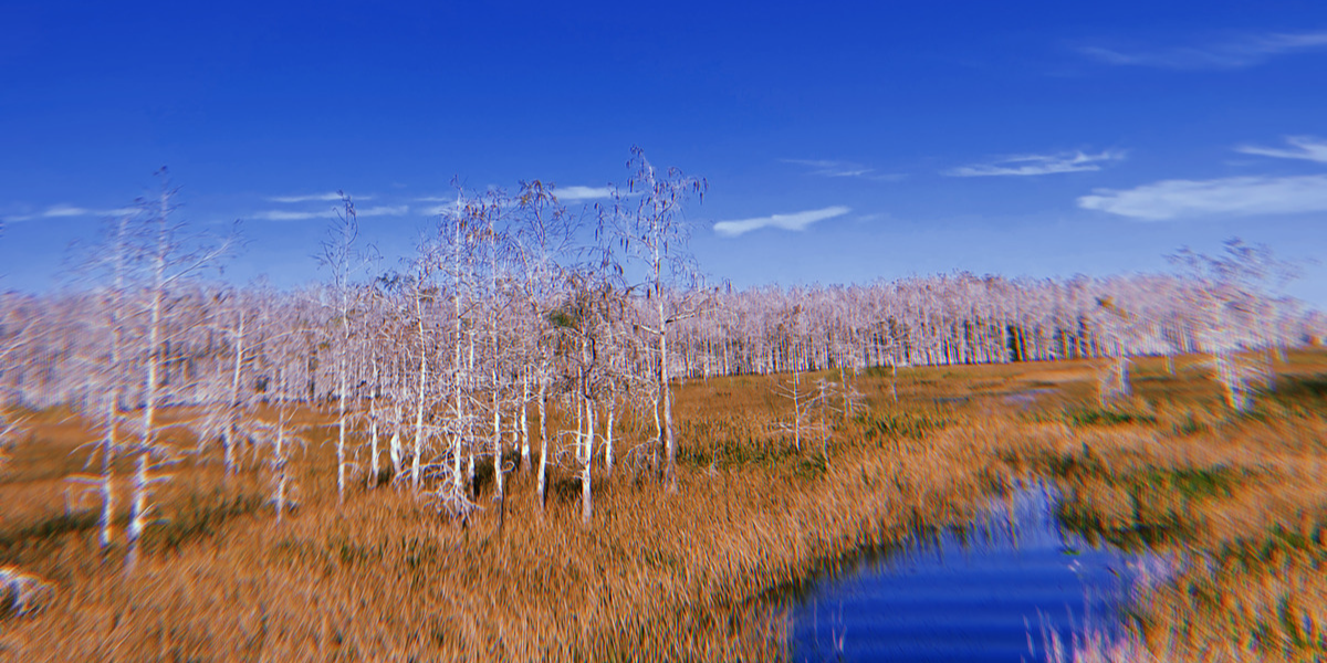 Treats in the cold season in the Florida Everglades