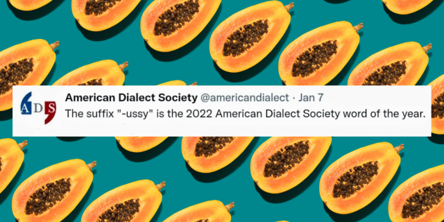 A tweet declaring the suffix -ussy as the word of 2022 is layered on top of a repeating image of a cut open papaya, on a turquoise background