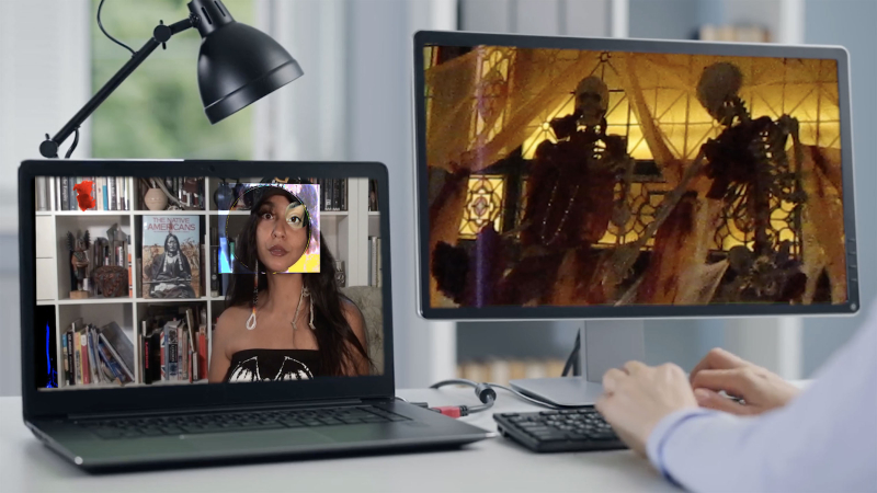 Two computer screens. One with animated skeletons, the other with Fox Maxy sitting in front of a bookcase.
