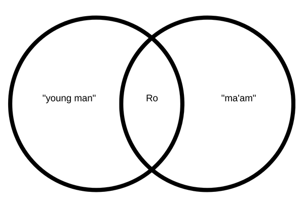 ro's chart is a venn diagram. on one side is "young man" and other side "ma'am" and in the center "Ro"