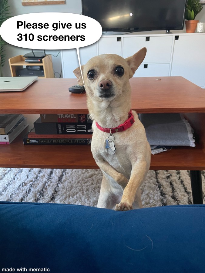 an image of carol the chihuahua looking pleadingly up at the viewer, a speech bubble next to her that says "please give us 310 screeners"