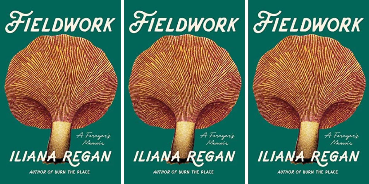 Fieldwork by Iliana Regan