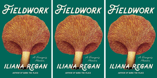 Fieldwork by Iliana Regan