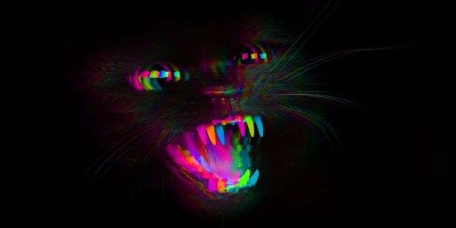 A black cat against a black ground is hissing. The image has been distorted and the colors edited to create a trippy tripling effect.