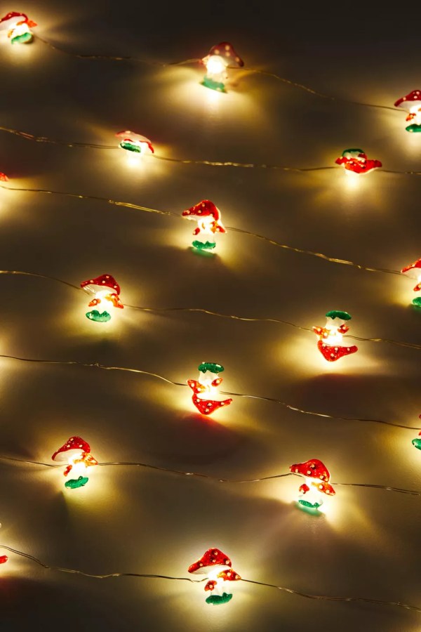 mushroom string lights